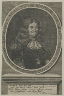 Wolfgang Carl Briegel